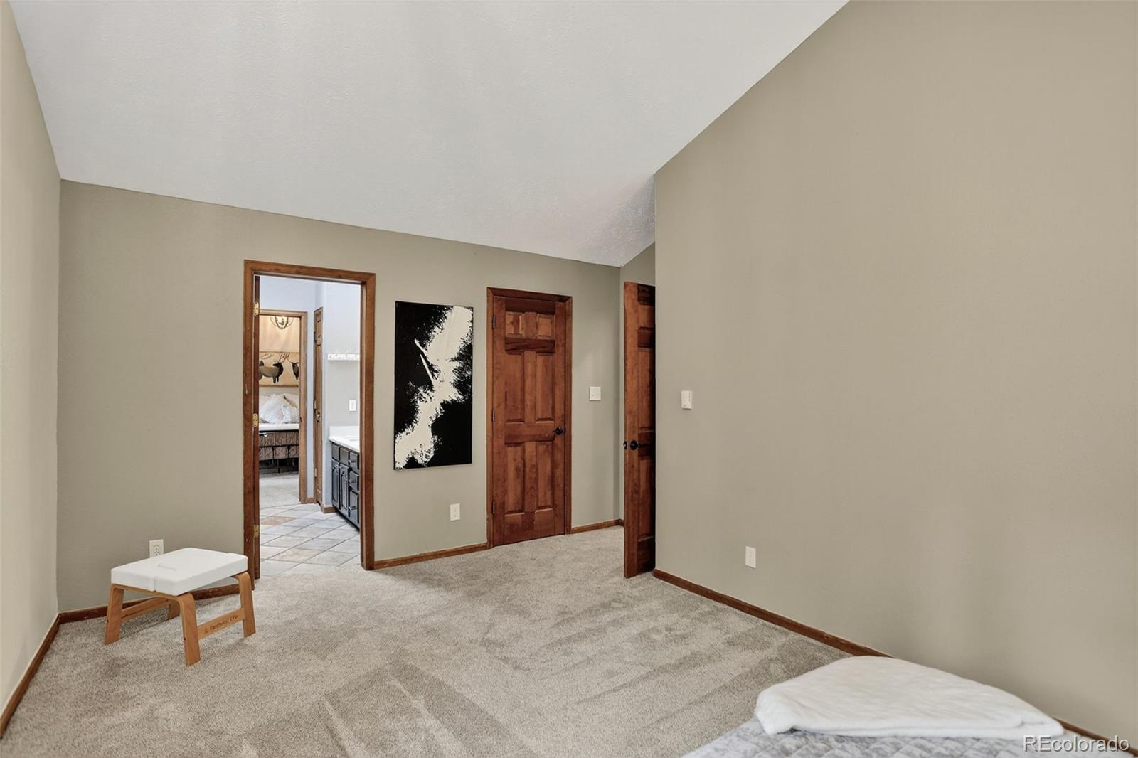 31258 Niakwa Road Evergreen, CO 80439 - Photo 28 of 49 Gallery Image 28