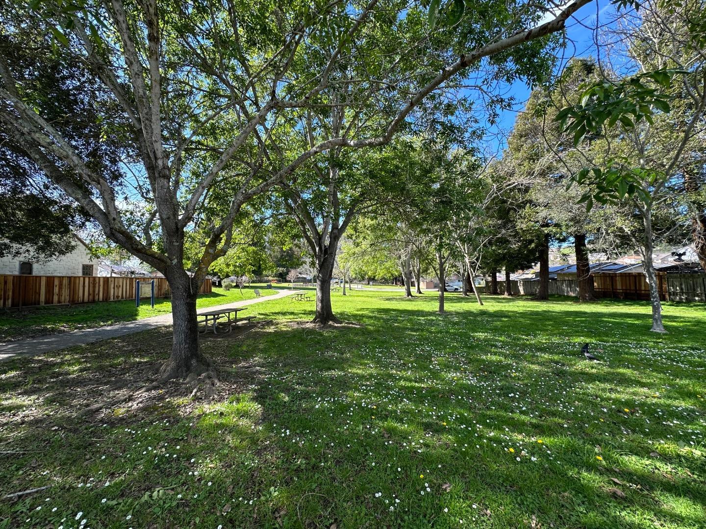 2505 Howe Street Santa Cruz, CA 95065 - Photo 14 of 14 a view of a yard with large trees