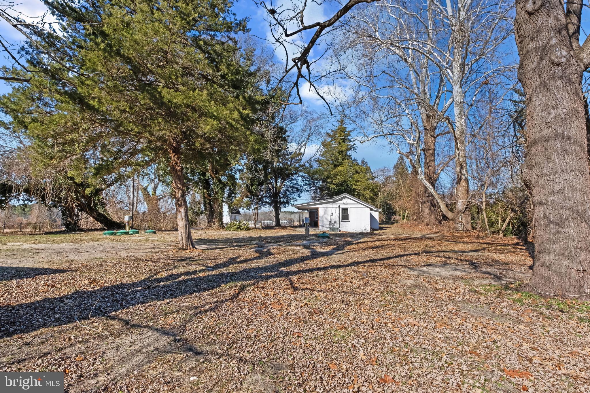 28272 Riverside Drive Salisbury, MD 21801 - Photo 5 of 33 Charming retreat amid serene nature.