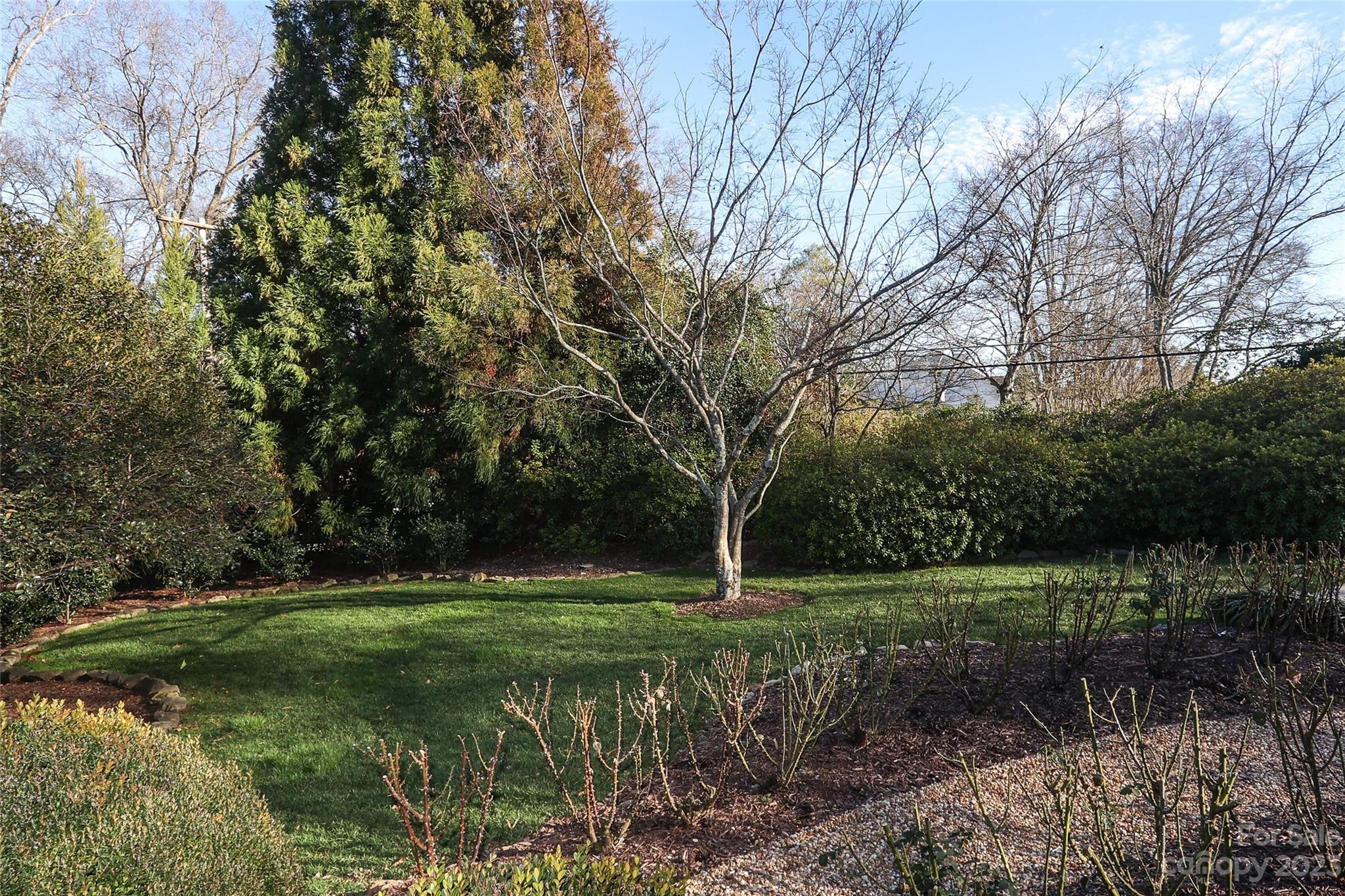 2237 Queens Road East Charlotte, NC 28207 - Photo 35 of 40 a view of a grassy field