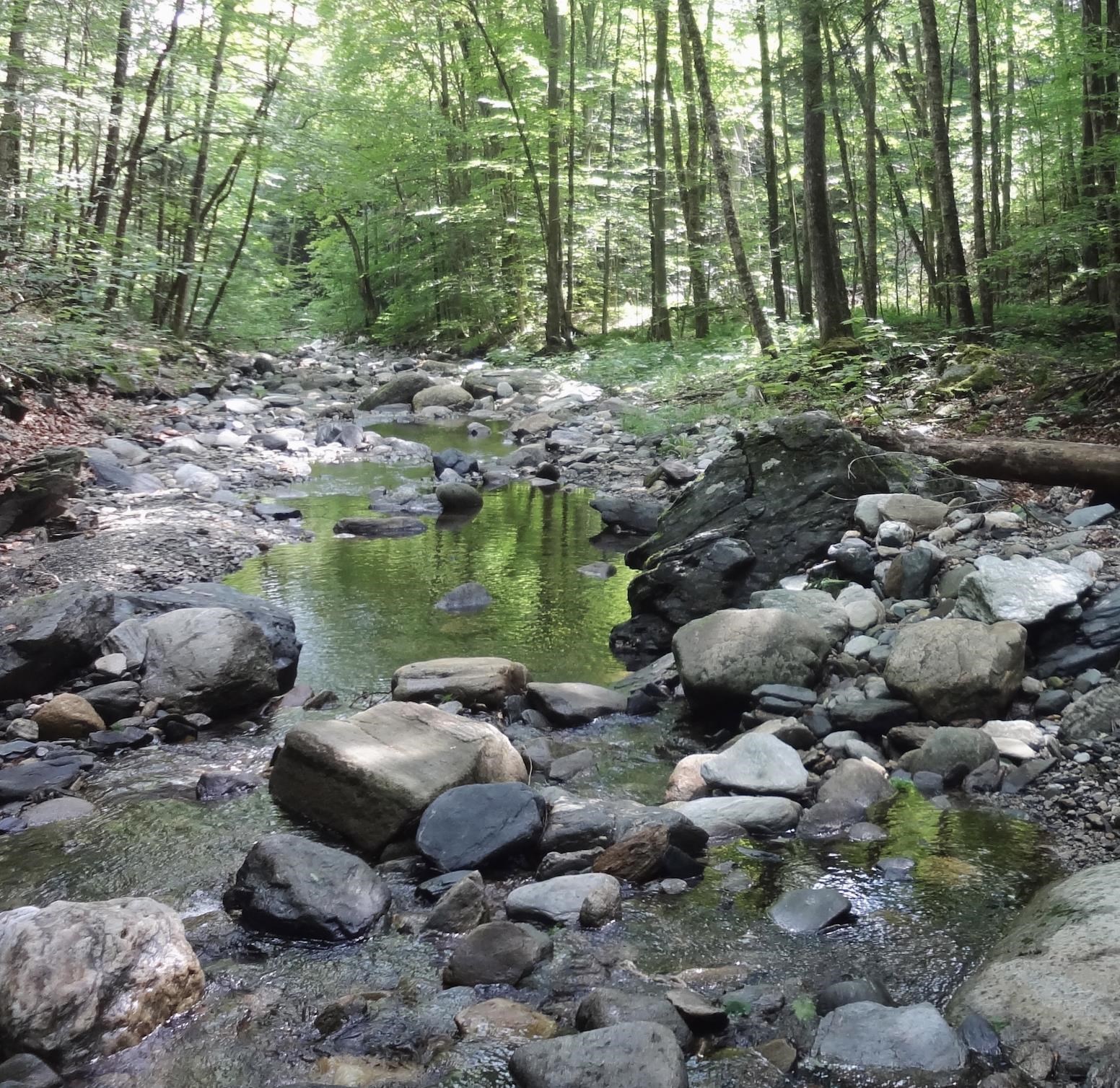 1506 Windham Hill Road Townshend, VT 05359 - Photo 11 of 23