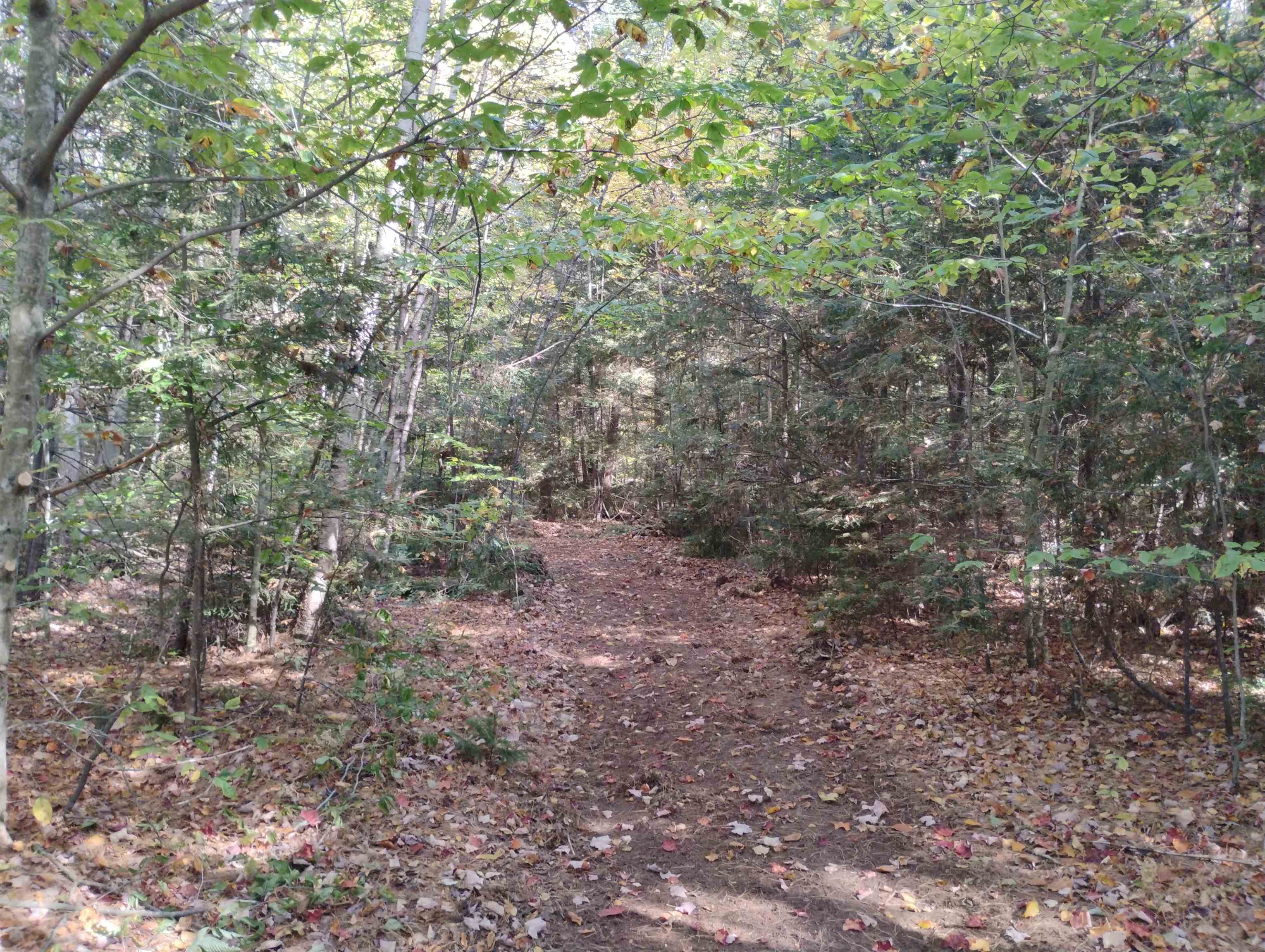 1506 Windham Hill Road Townshend, VT 05359 - Photo 2 of 23