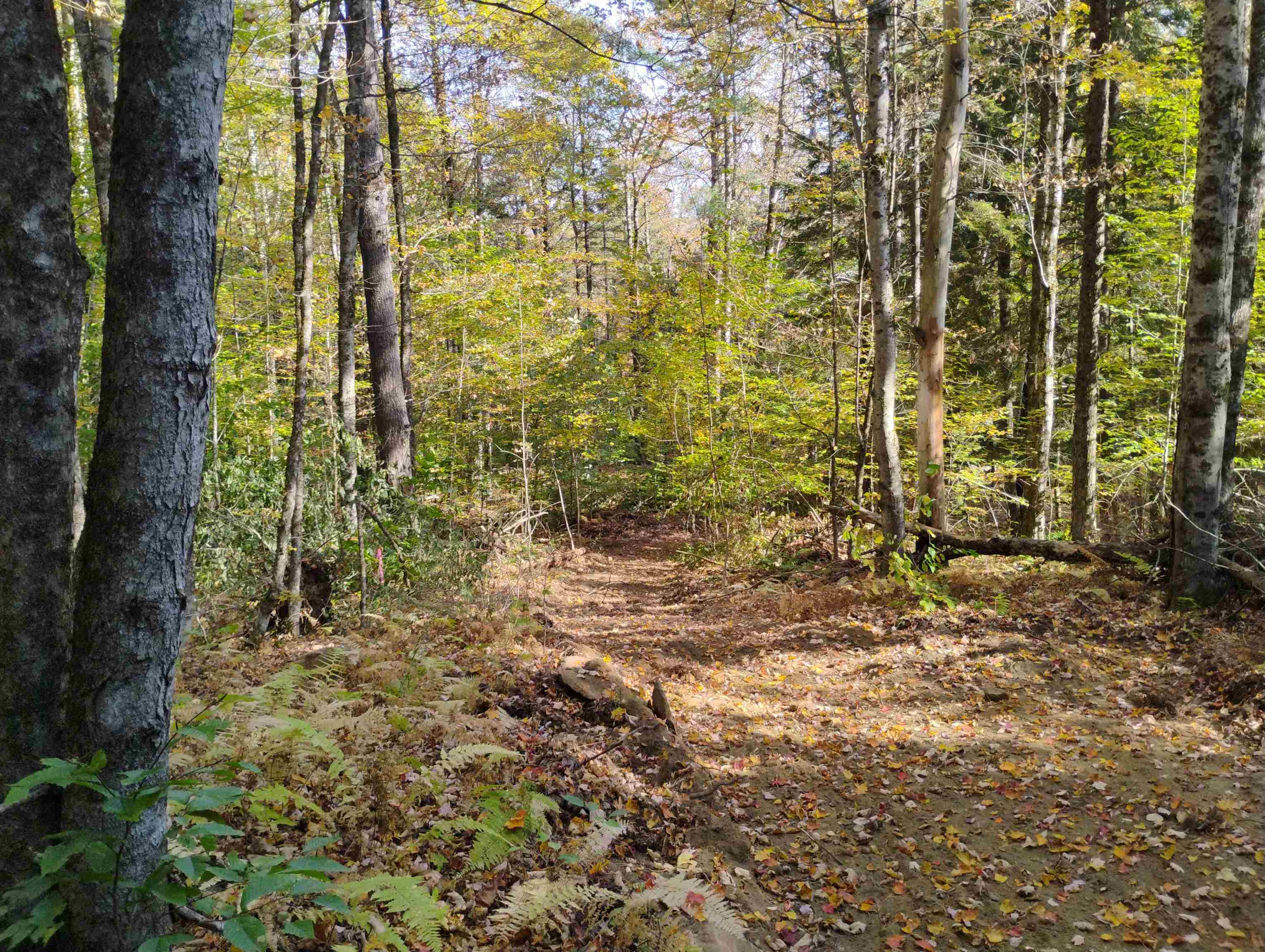 1506 Windham Hill Road Townshend, VT 05359 - Photo 3 of 23