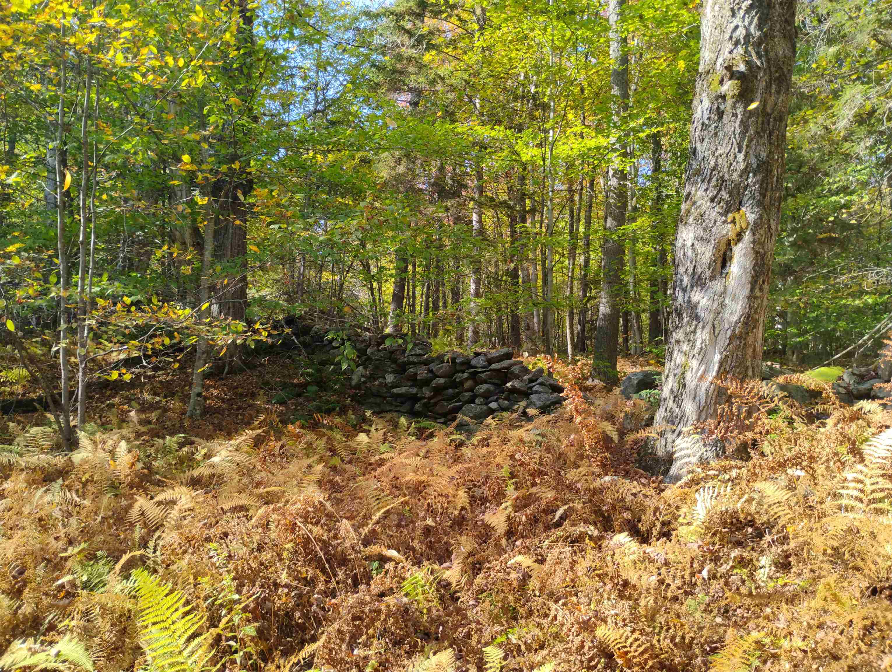 1506 Windham Hill Road Townshend, VT 05359 - Photo 7 of 23