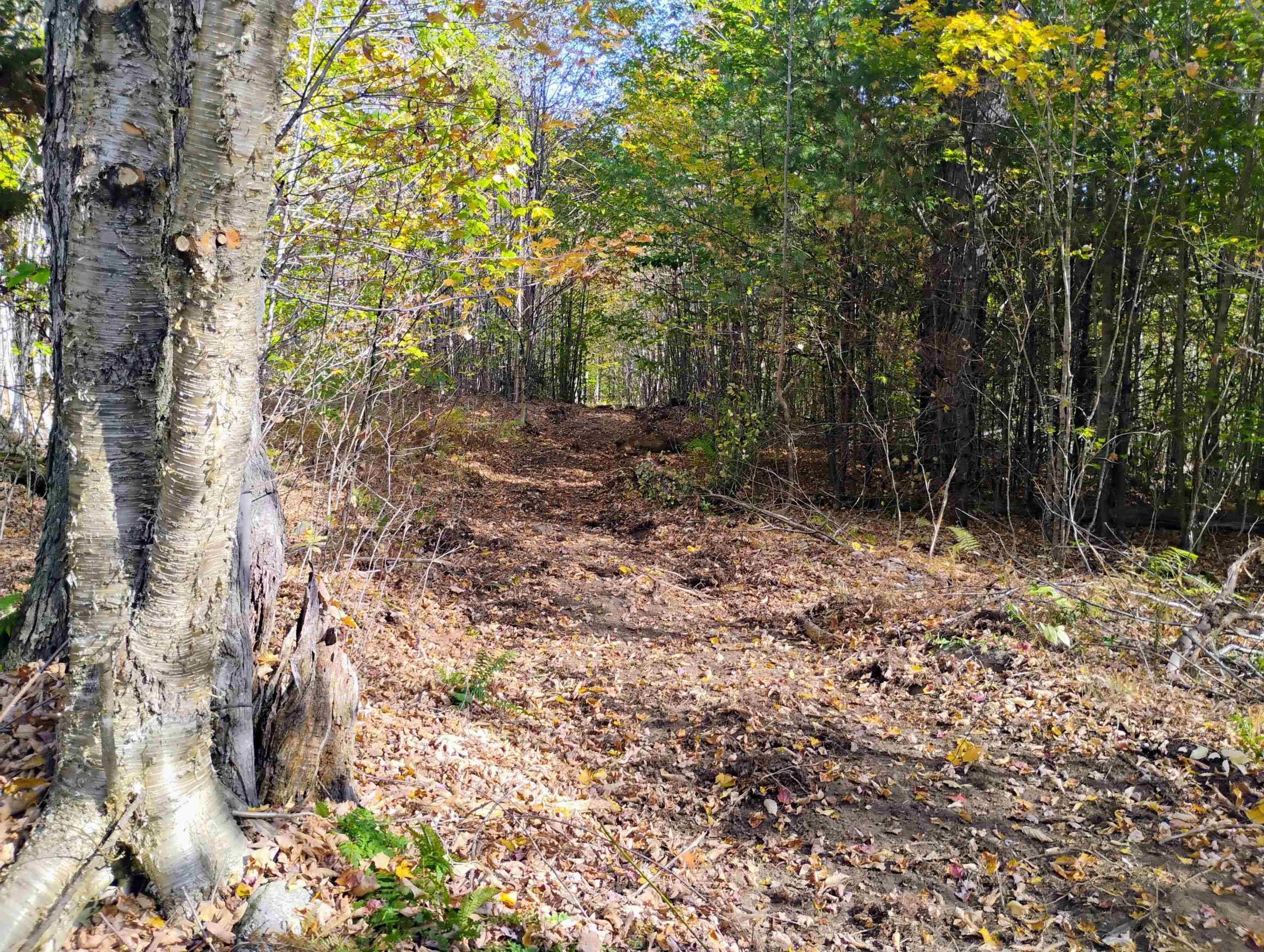 1506 Windham Hill Road Townshend, VT 05359 - Photo 8 of 23