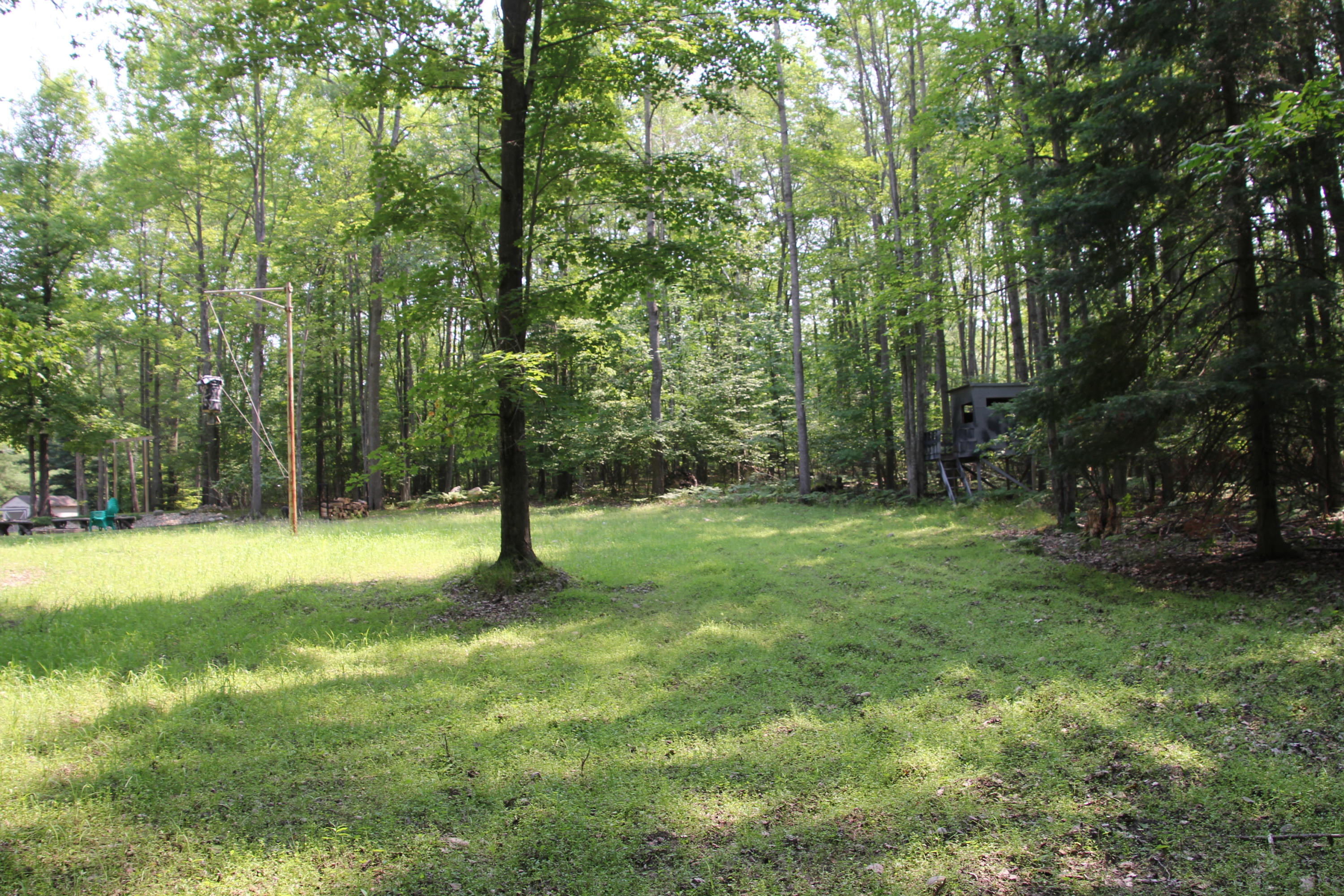 14195 McMurphy Road Atlanta, MI 49709 - Photo 65 of 77 Gallery Image 65