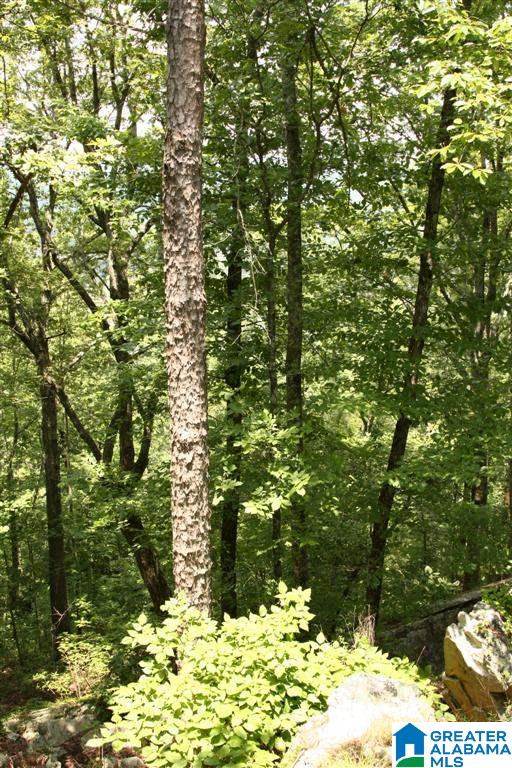 0 Shoal Creek Road, Unit 121 AC Ashville, AL 35953 - Photo 6 of 8