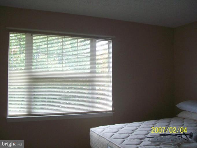 120 Alpine Meadow Road Winchester, VA 22602 - Photo 15 of 17 Bedroom #2