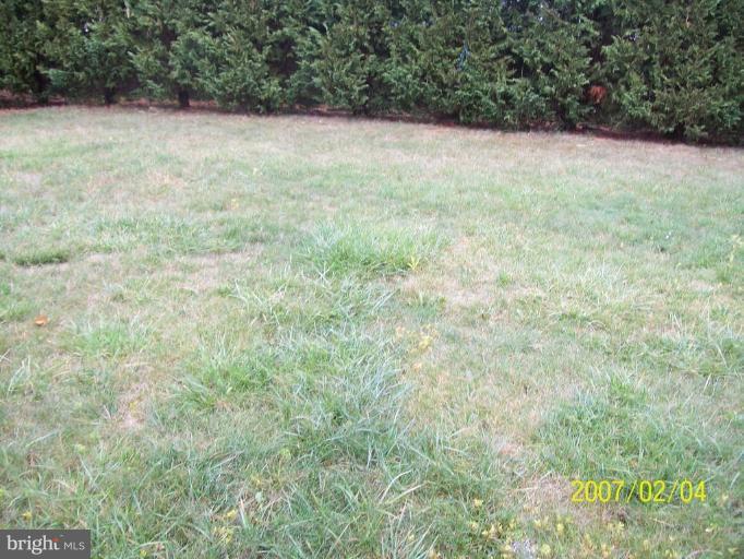 120 Alpine Meadow Road Winchester, VA 22602 - Photo 5 of 17 Back yard
