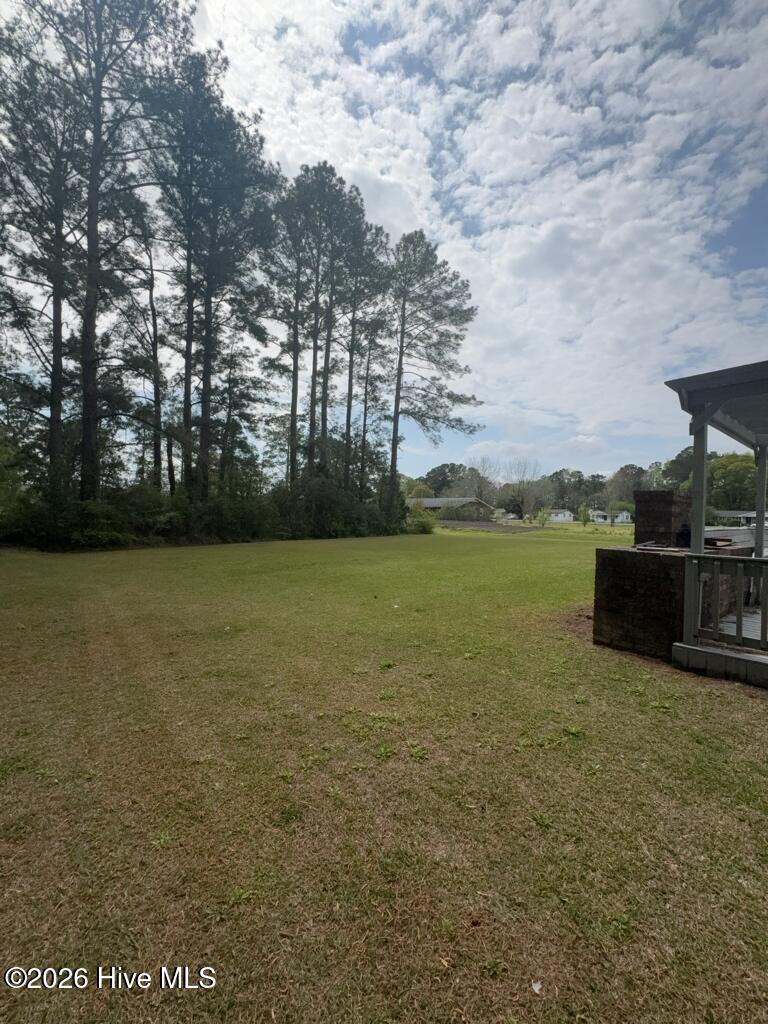110 Elwood Road Jacksonville, NC 28546 - Photo 20 of 20 Backyard