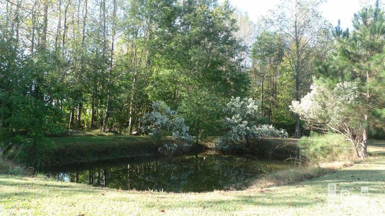 299 Cole Road Beulaville, NC 28518 - Photo 18 of 20 Additional Photo
