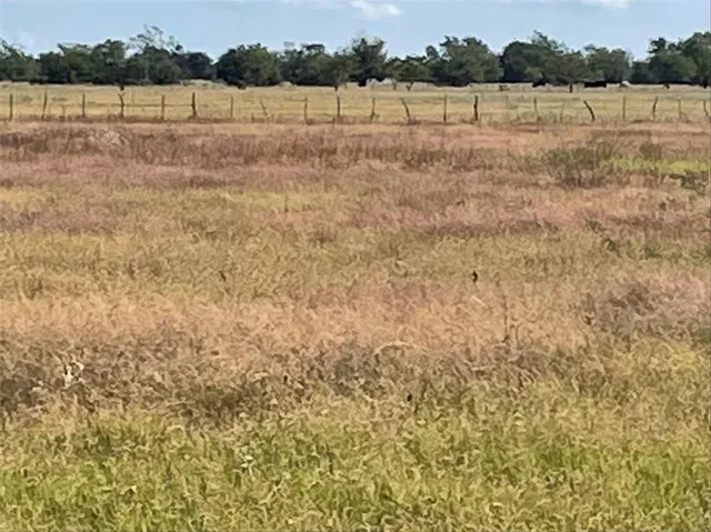 a view of a yard with wooden fence