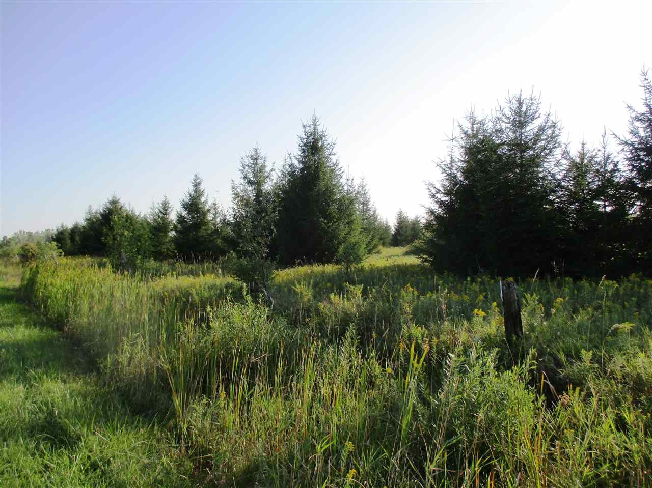 Xx North Jeffs Road Merritt, MI 49667 - Photo 29 of 47 Gallery Image 29