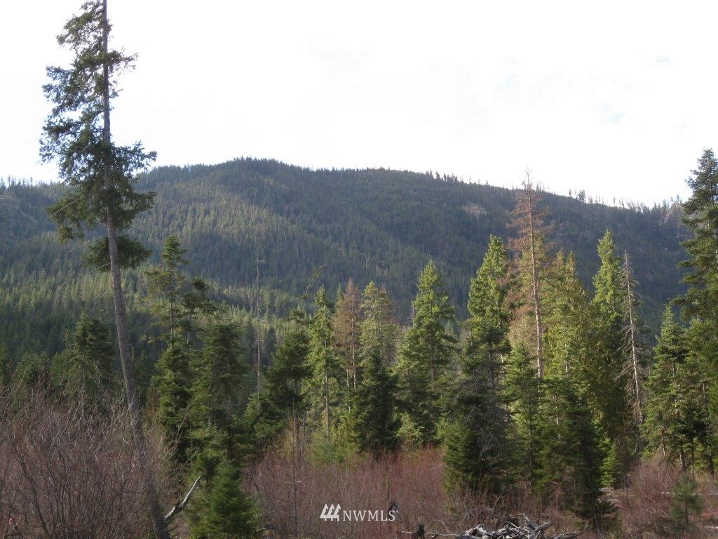 W2 Off Chandler Road Cle Elum, WA 98922 - Photo 2 of 10 Gallery Image 2
