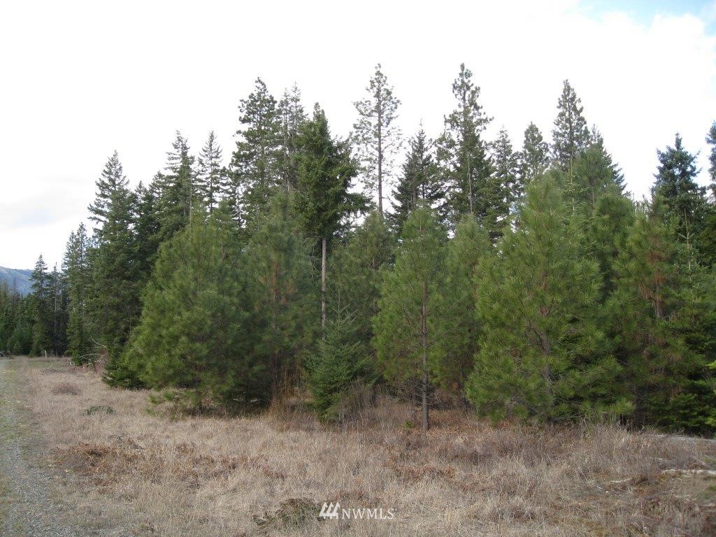 W2 Off Chandler Road Cle Elum, WA 98922 - Photo 3 of 10 Gallery Image 3