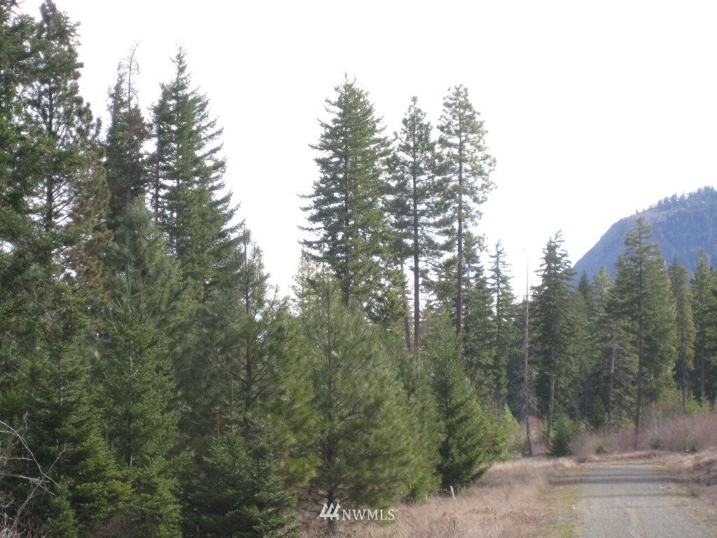 W2 Off Chandler Road Cle Elum, WA 98922 - Photo 4 of 10 Gallery Image 4