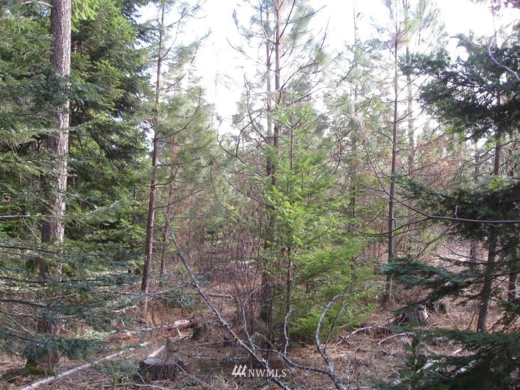W2 Off Chandler Road Cle Elum, WA 98922 - Photo 5 of 10 Gallery Image 5
