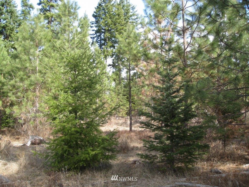 W2 Off Chandler Road Cle Elum, WA 98922 - Photo 6 of 10 Gallery Image 6
