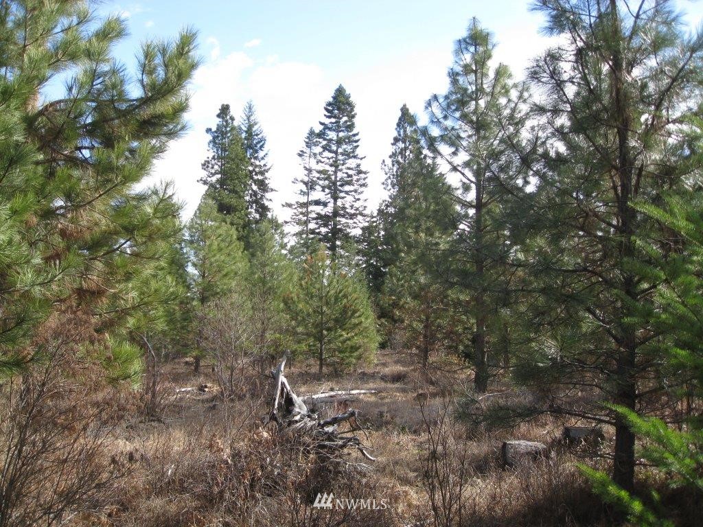 W2 Off Chandler Road Cle Elum, WA 98922 - Photo 7 of 10 Gallery Image 7