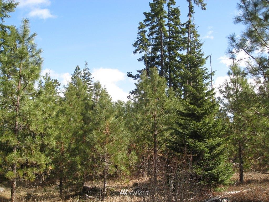 W2 Off Chandler Road Cle Elum, WA 98922 - Photo 8 of 10 Gallery Image 8