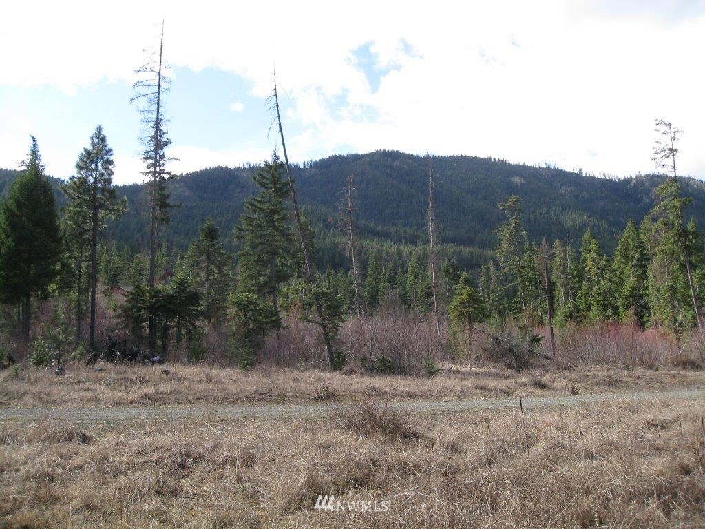W2 Off Chandler Road Cle Elum, WA 98922 - Photo 9 of 10 Gallery Image 9