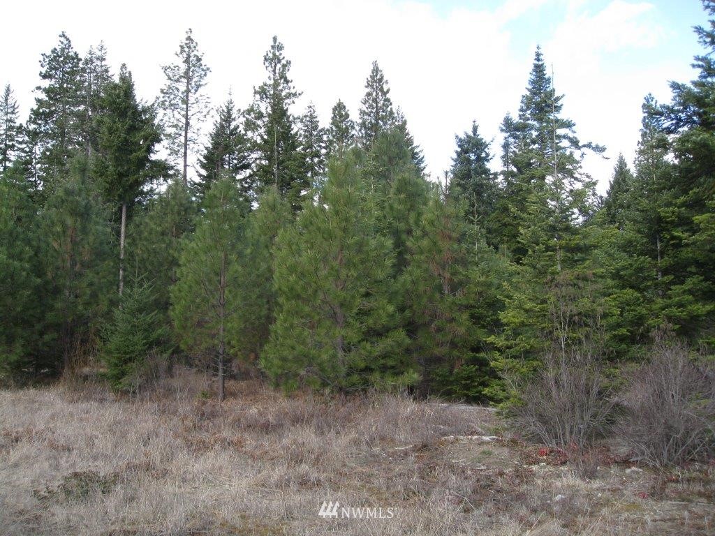 W2 Off Chandler Road Cle Elum, WA 98922 - Photo 10 of 10 Gallery Image 10
