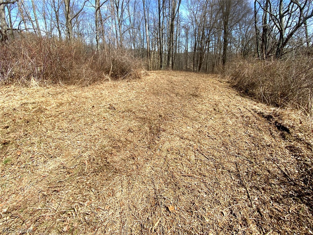 0 Township Road Coshocton, OH 43812 - Photo 18 of 24