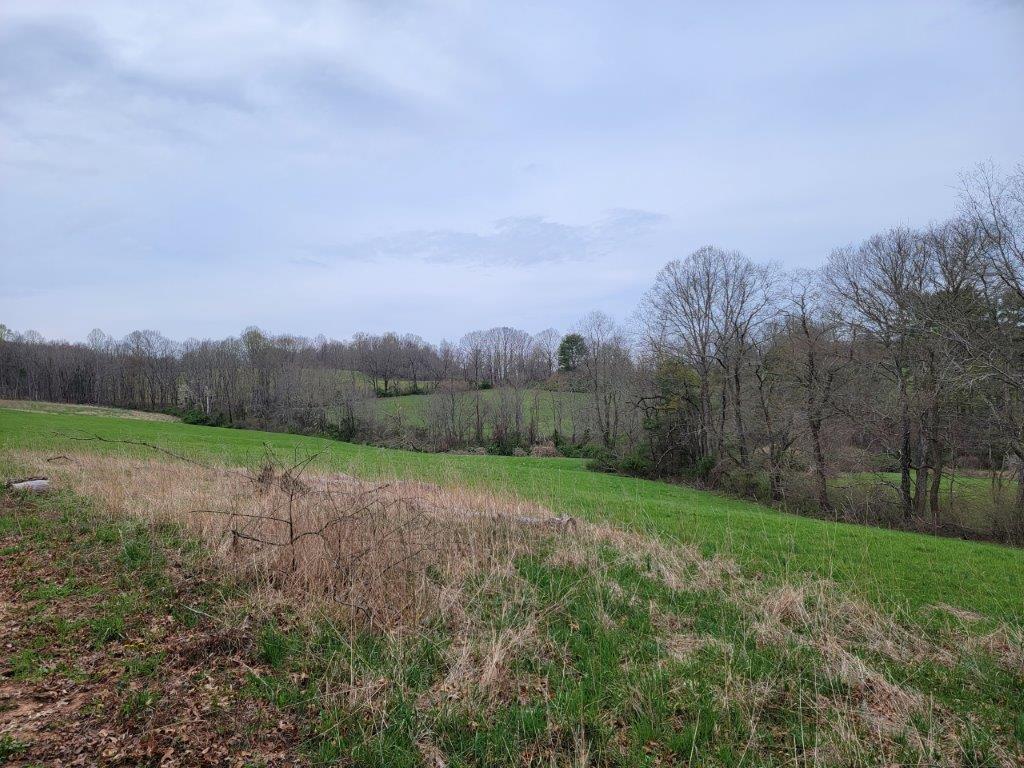 Tbd Hunters Ridge Road Hillsville, VA 24343 - Photo 20 of 64 Gallery Image 20