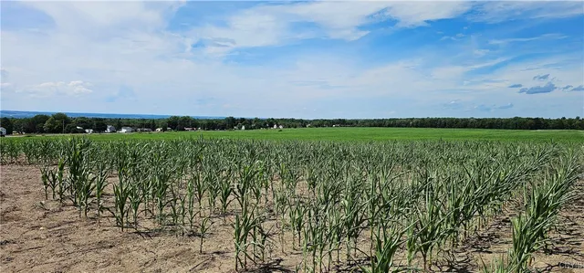 $1,200,000 | Rt-96a, Romulus, NY 14521