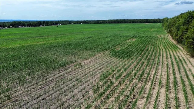 $1,200,000 | Rt-96a, Romulus, NY 14521