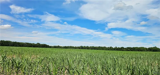 $1,200,000 | Rt-96a, Romulus, NY 14521