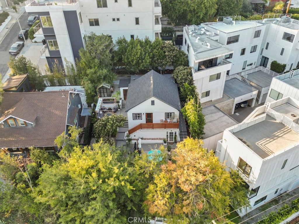 2207-2009 Apex Avenue Los Angeles, CA 90039 - Photo 62 of 64 Drone picture of beautiful trees giving shade to rooftop and front yard.