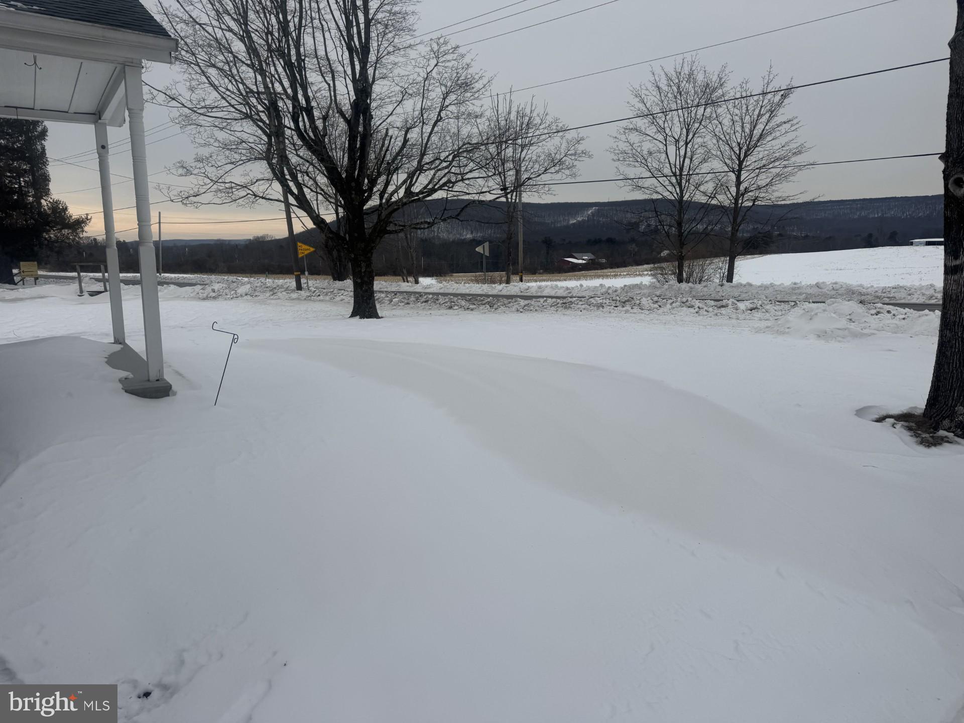 474 Fairview Street Tamaqua, PA 18252 - Photo 10 of 11 Yard