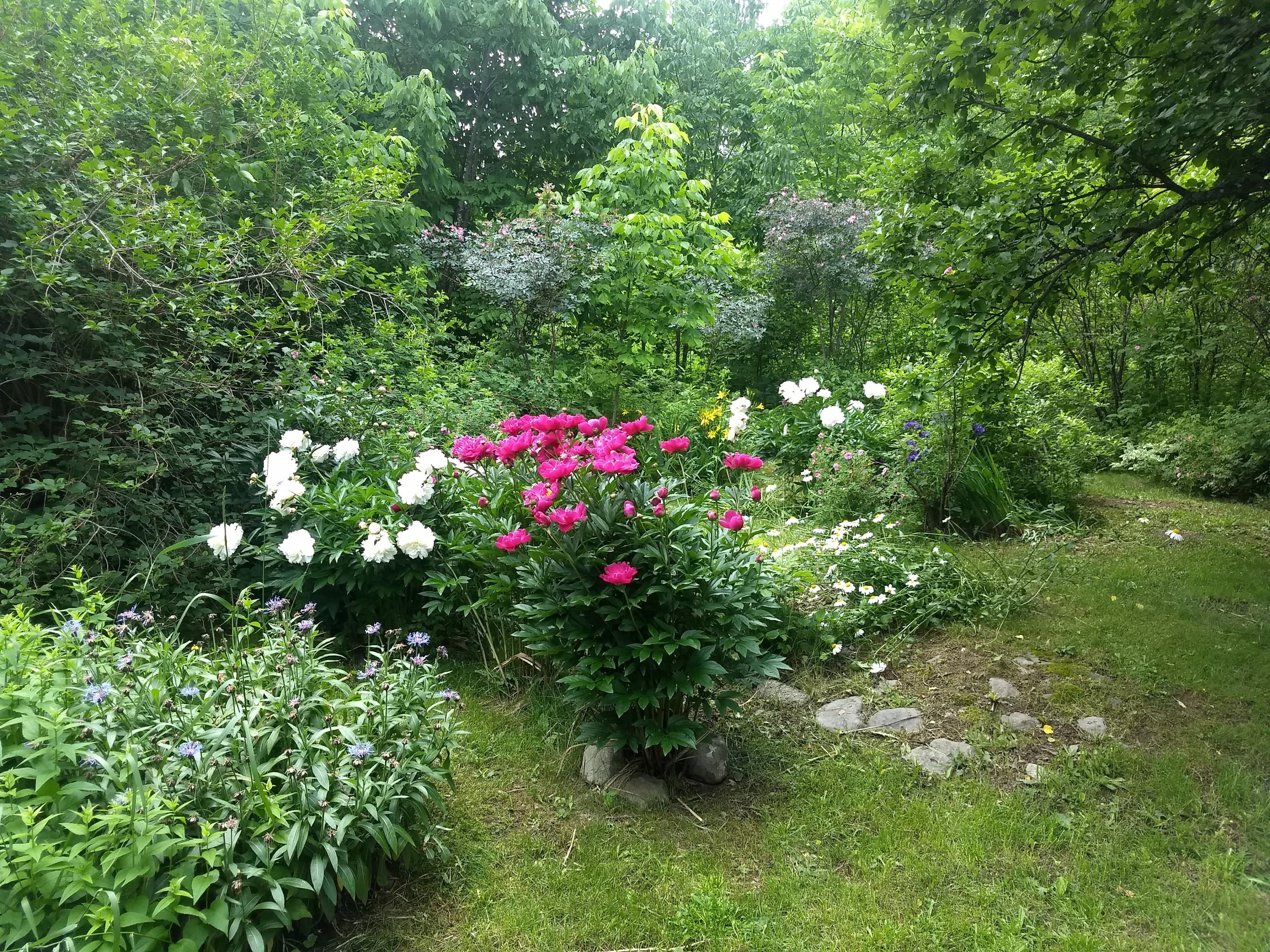 495 Wilcox Road Orient, ME 04471 - Photo 17 of 45 IMG_20190702_114747387