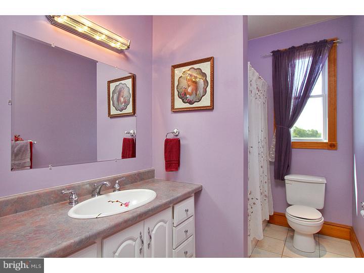 207 Earnest Garton Road Alloway, NJ 08302 - Photo 14 of 17 Bathroom
