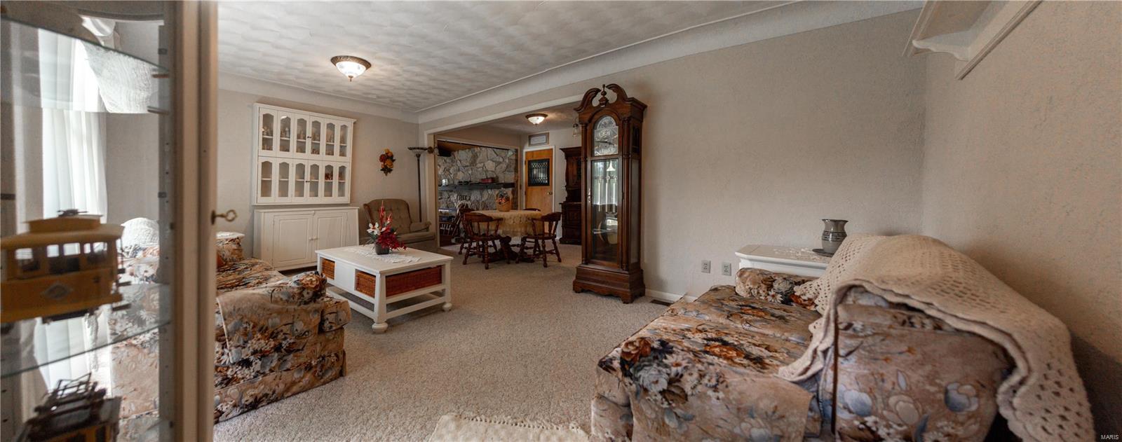 13847 Klaus Lake Road Highland, IL 62249 - Photo 3 of 35 Gallery Image 3