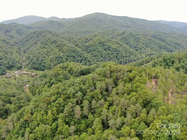 $117,000 | 0 Sams Br Road, Green Mountain, NC 28740