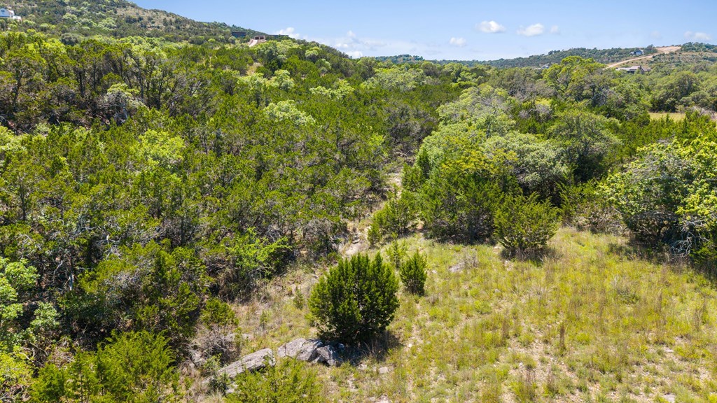 717 Bluff Ridge Trail, Unit 77 Blanco, TX 78606 - Photo 15 of 21