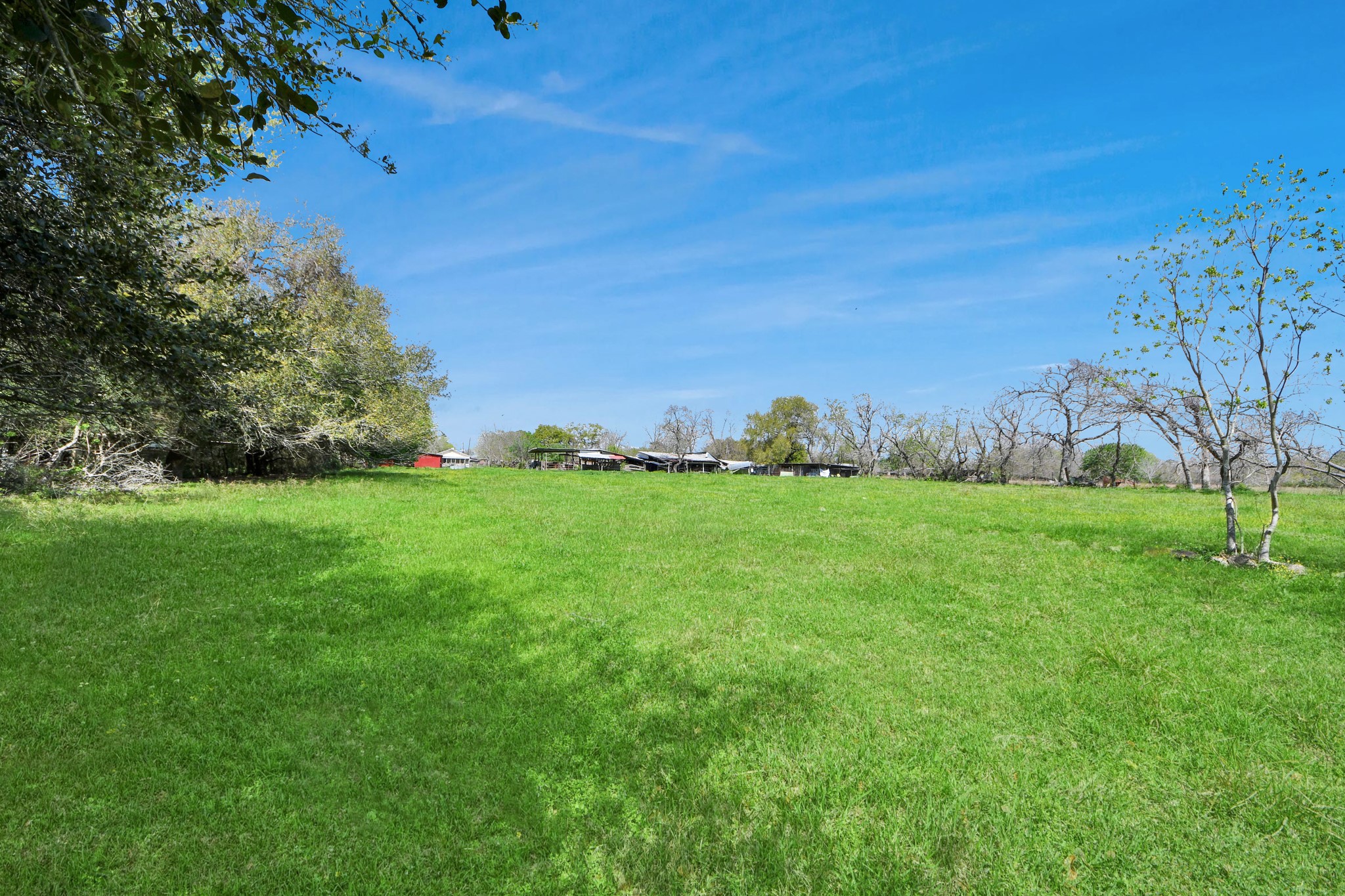 602 Massey Tompkins Road Baytown, TX 77521 - Photo 12 of 15 a view of yard with swimming pool and green space