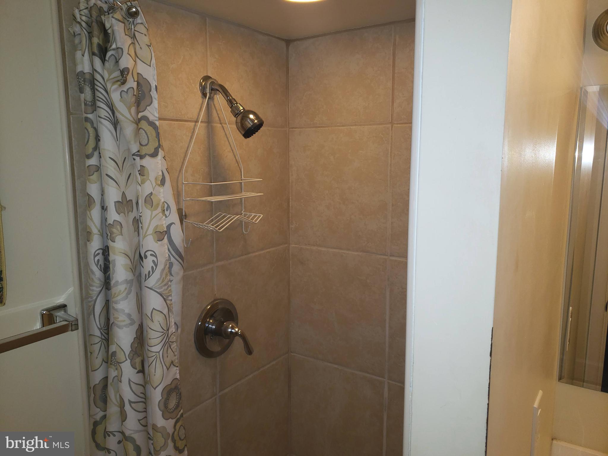 1850 Farrington Road Philadelphia, PA 19151 - Photo 14 of 20 Basement Shower