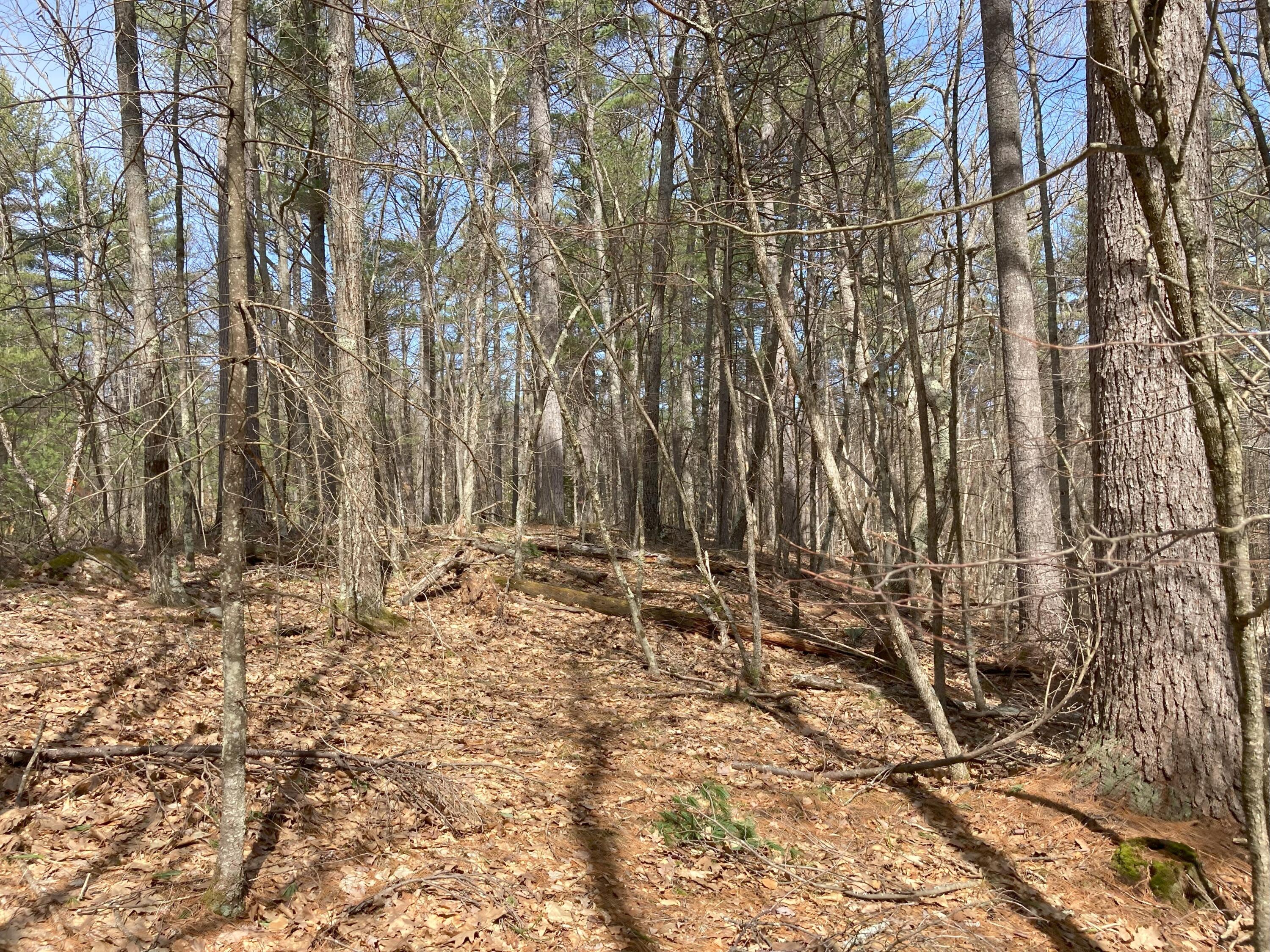 Lot 138 Ridge Top Road Jay, NY 12941 - Photo 5 of 8 Gallery Image 5