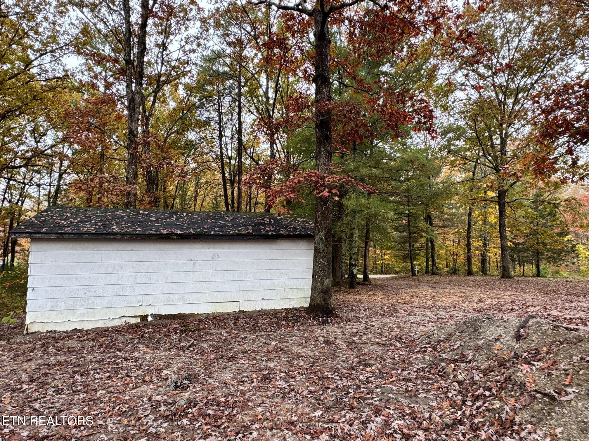 1101 Franklin Loop Clarkrange, TN 38553 - Photo 23 of 27 unnamed (53)