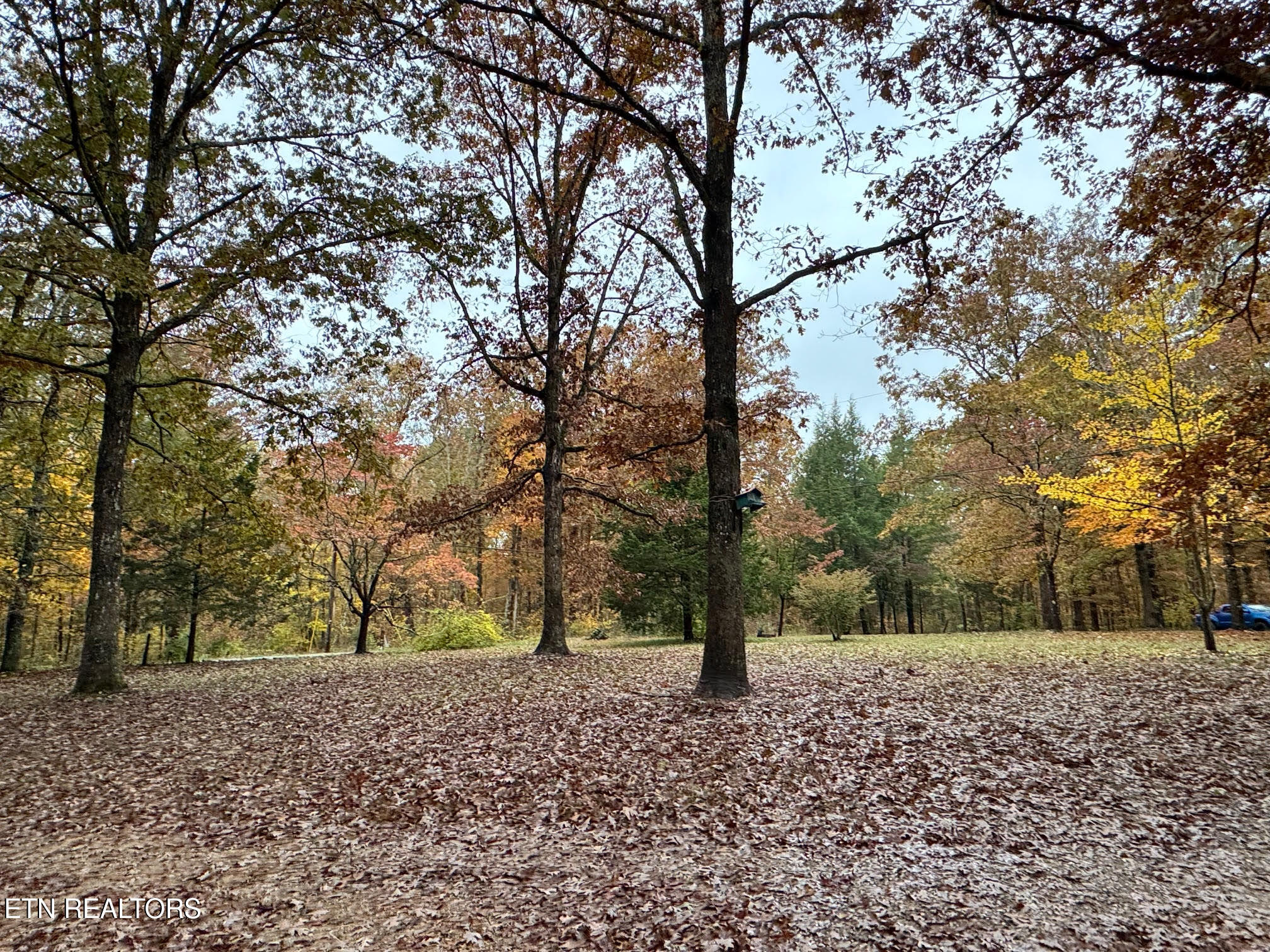 1101 Franklin Loop Clarkrange, TN 38553 - Photo 24 of 27 unnamed (54)