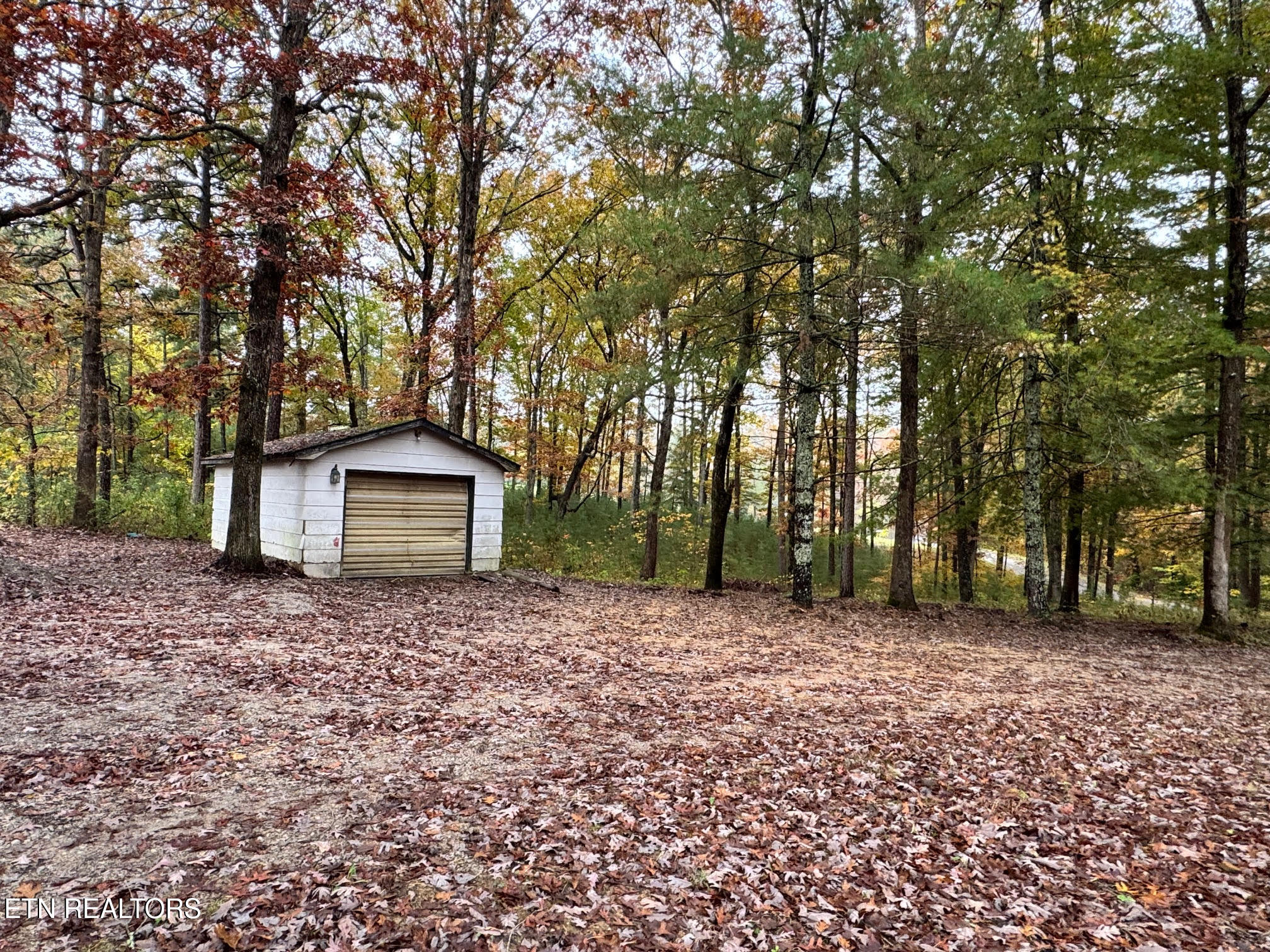 1101 Franklin Loop Clarkrange, TN 38553 - Photo 25 of 27 unnamed (55)