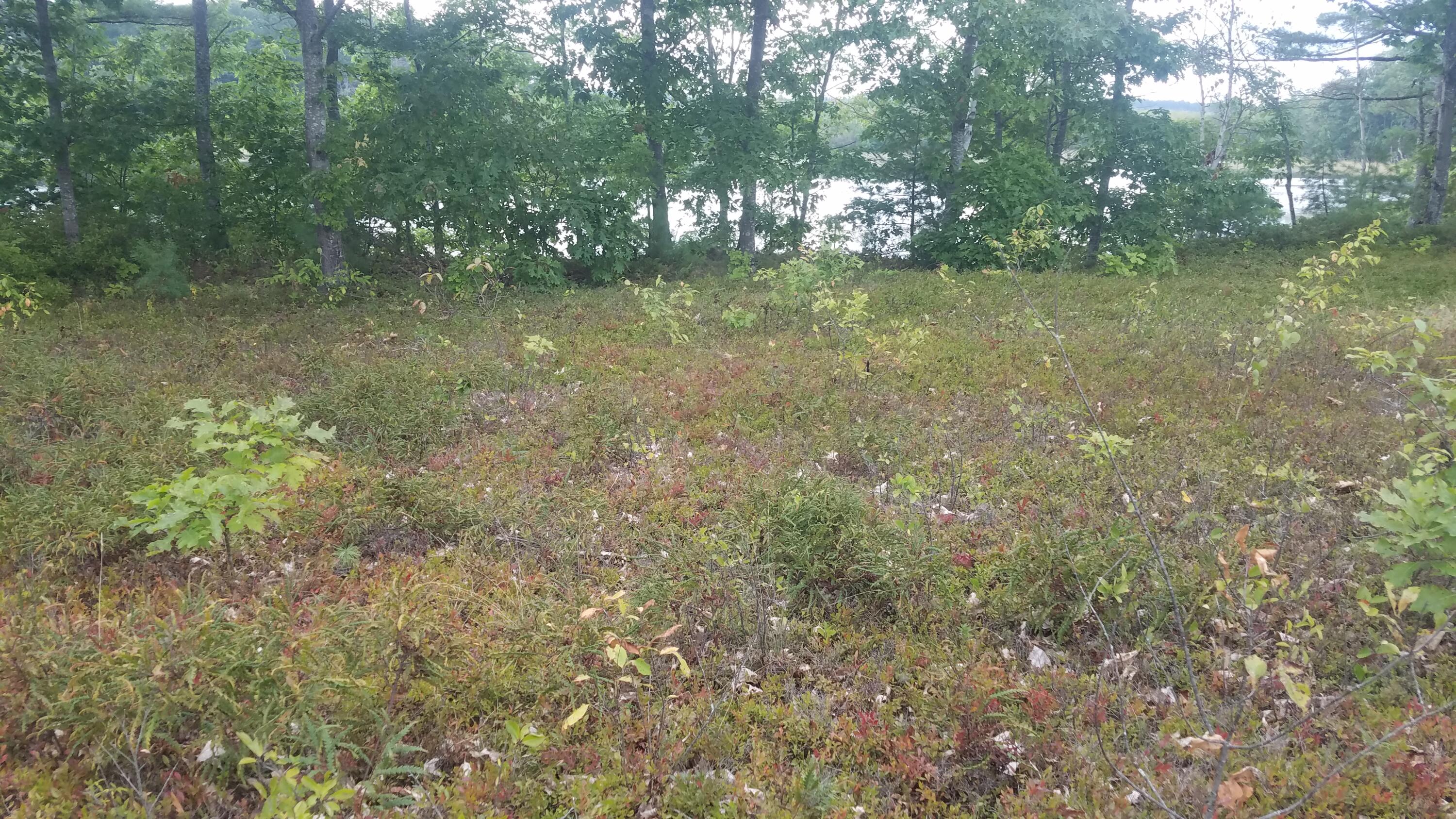 0 River Road Dresden, ME 04342 - Photo 10 of 10 20220912_151141