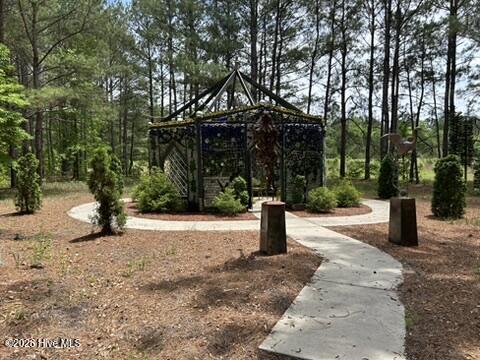 0 Bethesda Church Road Orrum, NC 28369 - Photo 34 of 34 Gallery Image 34