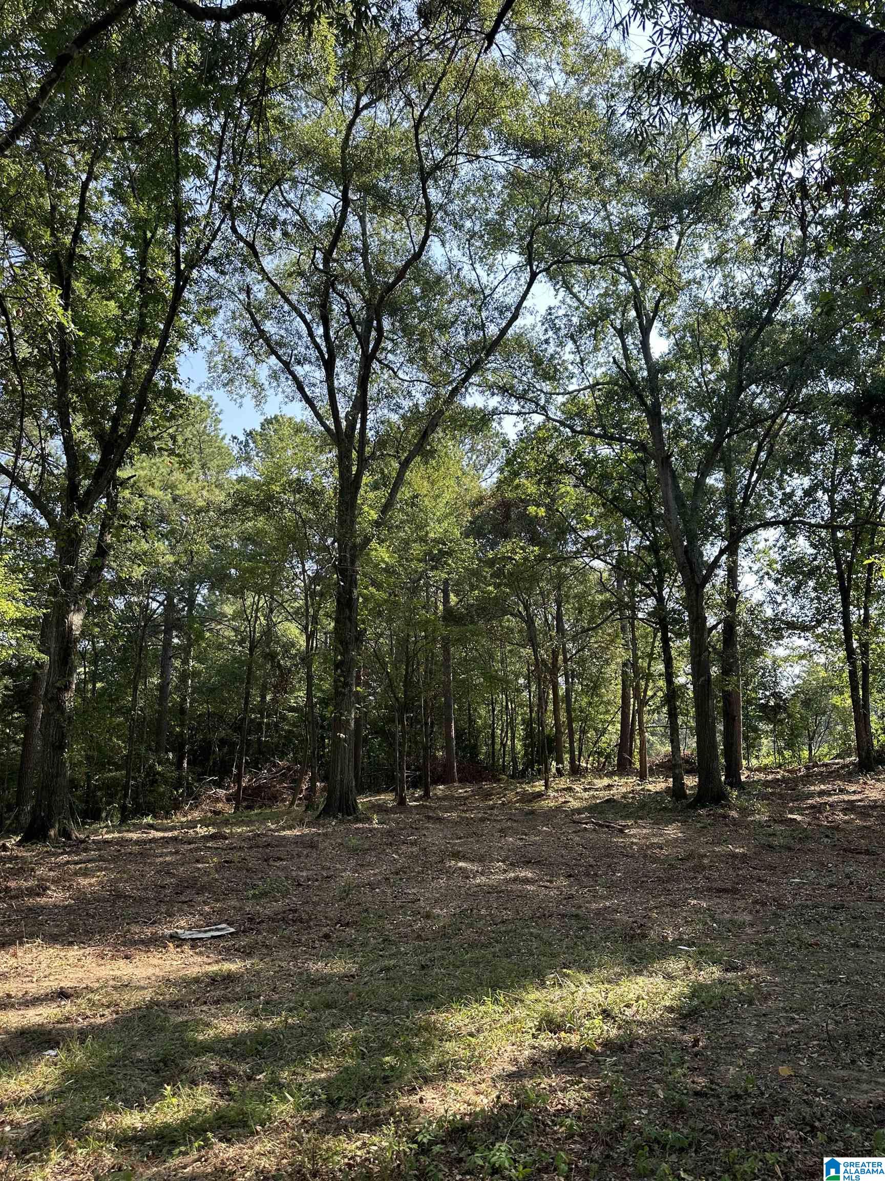 3100 Easonville Road, Unit 7 Pell City, AL 35128 - Photo 4 of 8