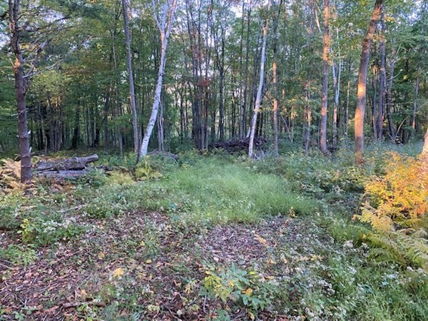 97 Haynes Hill Road Wales, MA 01081 - Photo 3 of 4 Gallery Image 3