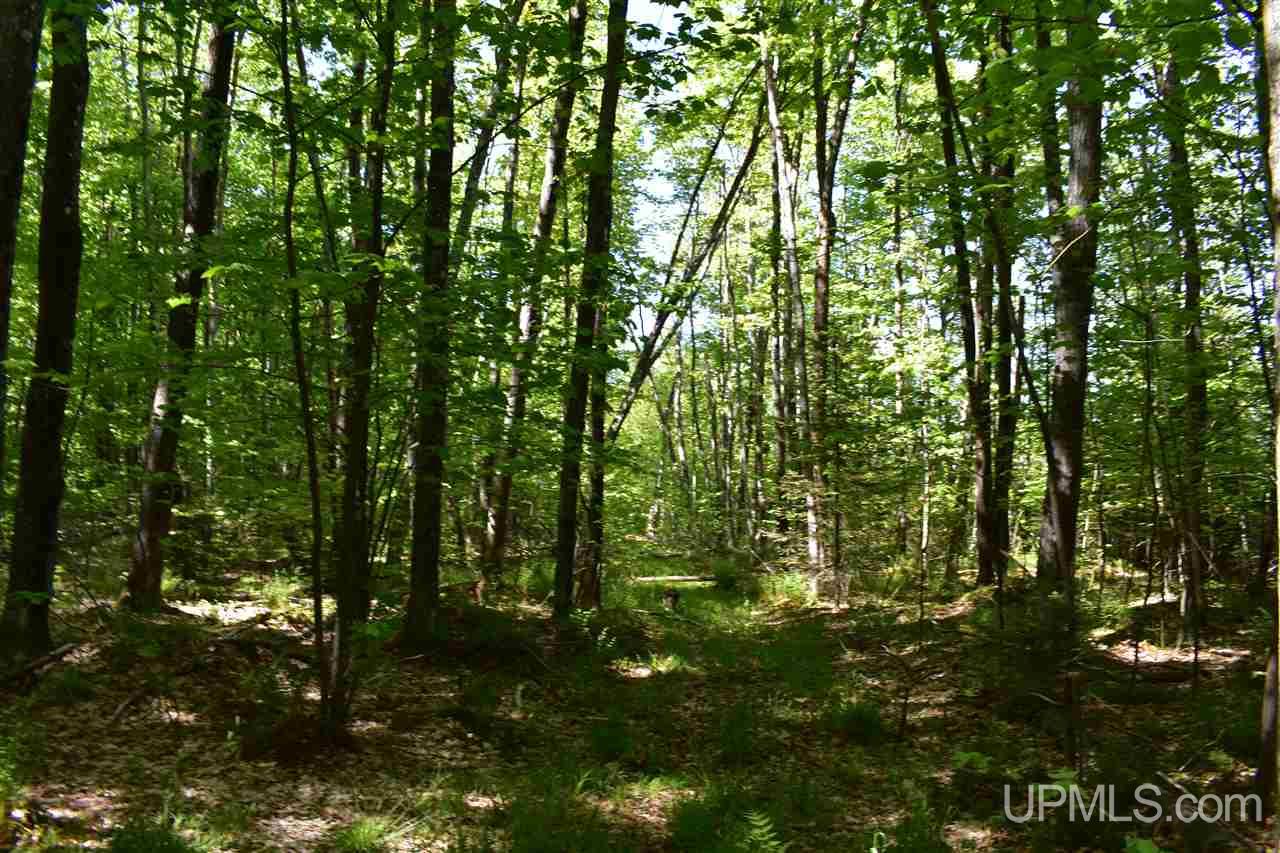 24-acres Co Rd Kb Big Bay, MI 49808 - Photo 38 of 50