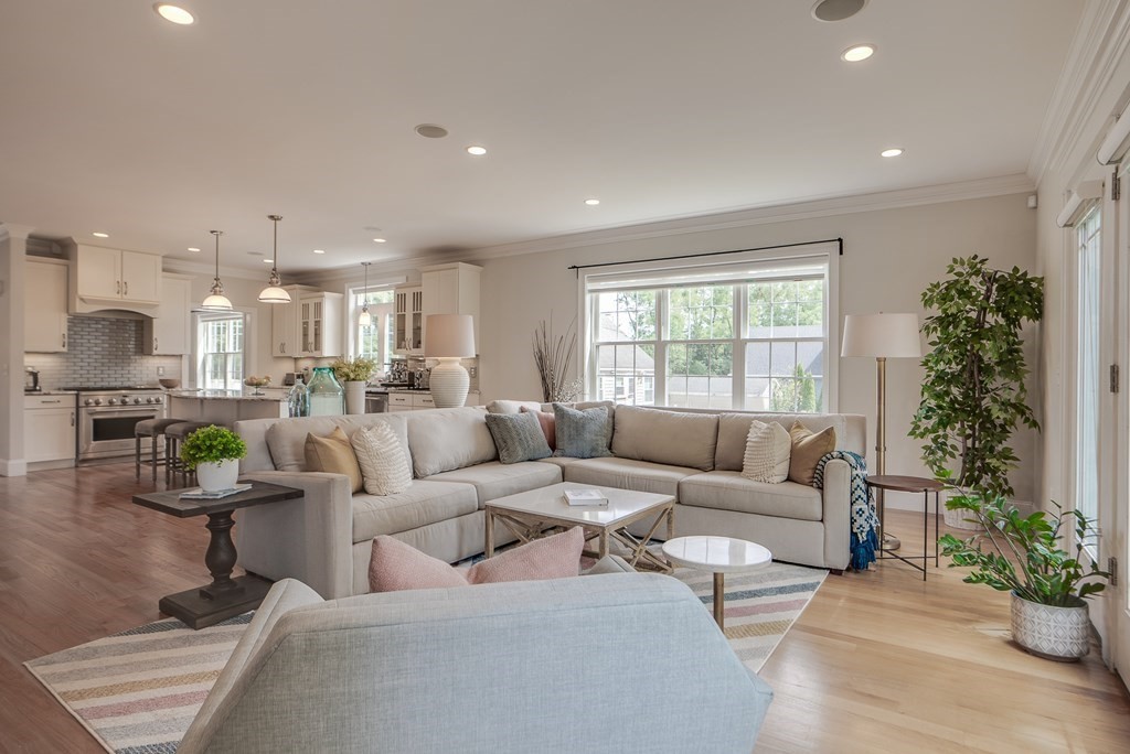 427 Davis Road Bedford, MA 01730 - Photo 10 of 42 a living room with furniture and a potted plant